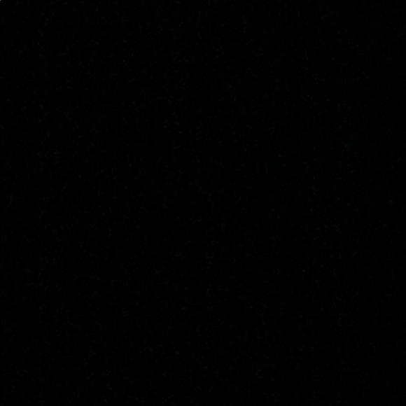 Meet your Posher, Riley - Picture 1 of 1